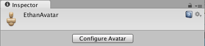 The Inspector for an Avatar sub-asset